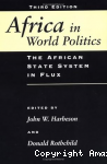 Africa in World Politics. The African State System in Flux